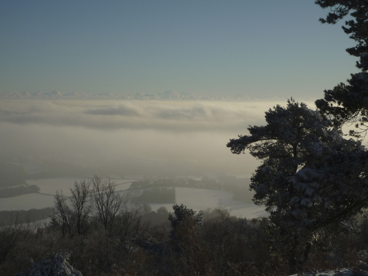 Leith HIll 3 by Steve Breed